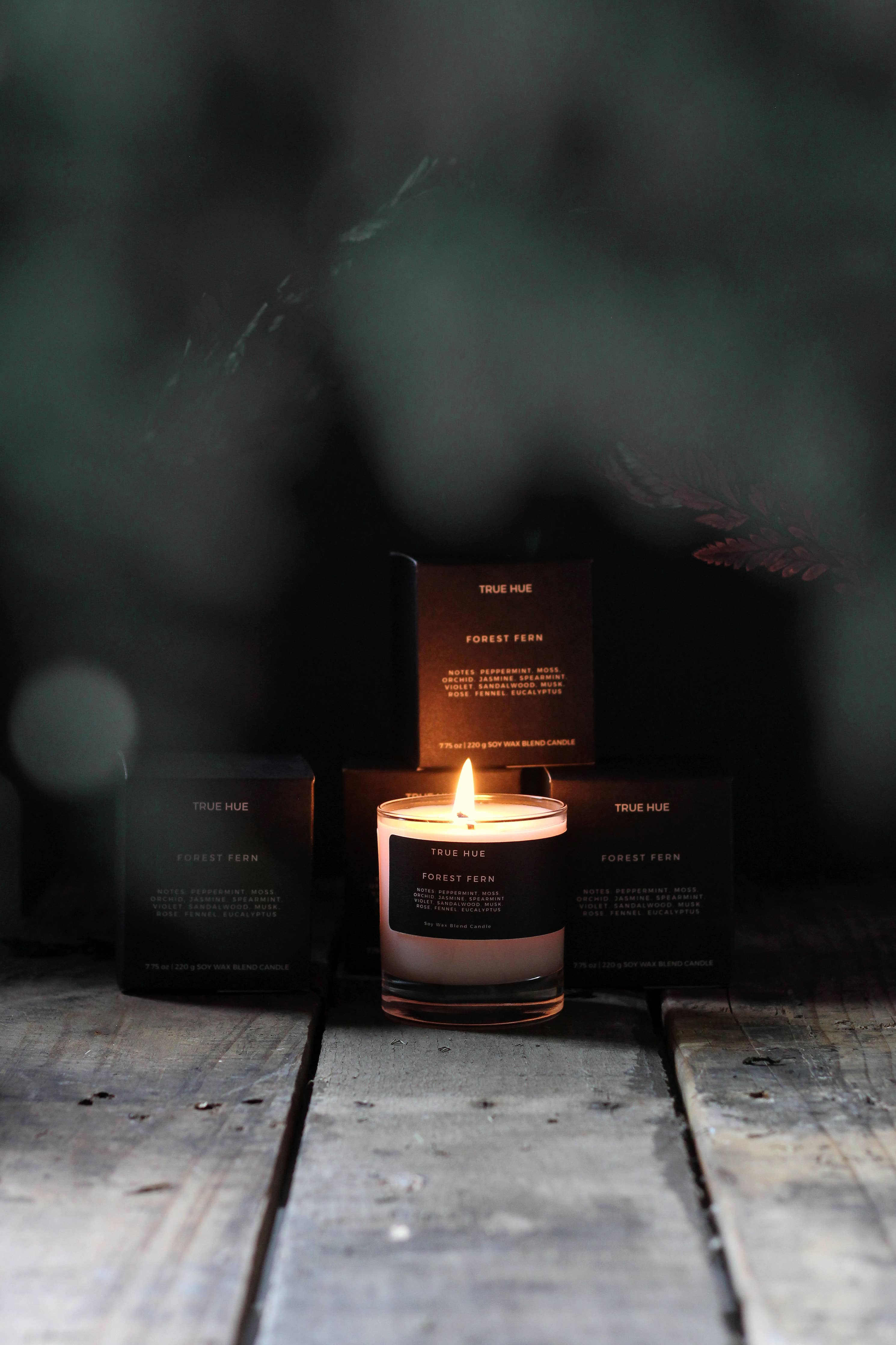 Forest Fern Candle