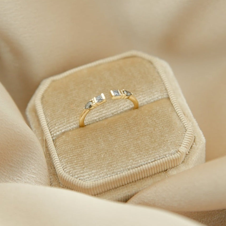 Salt and Pepper Diamonds in and Adjustable ring by local Milwaukee jewelers Cival