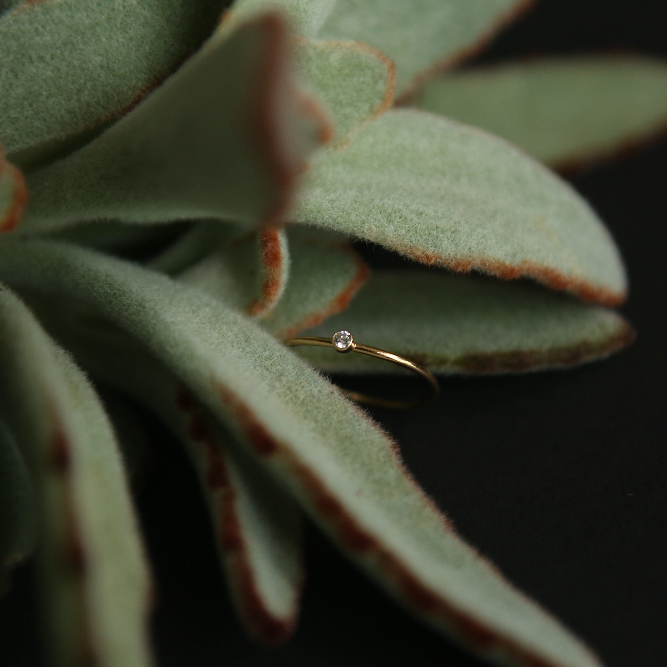 Close up photo of gold stacking ring with small stone