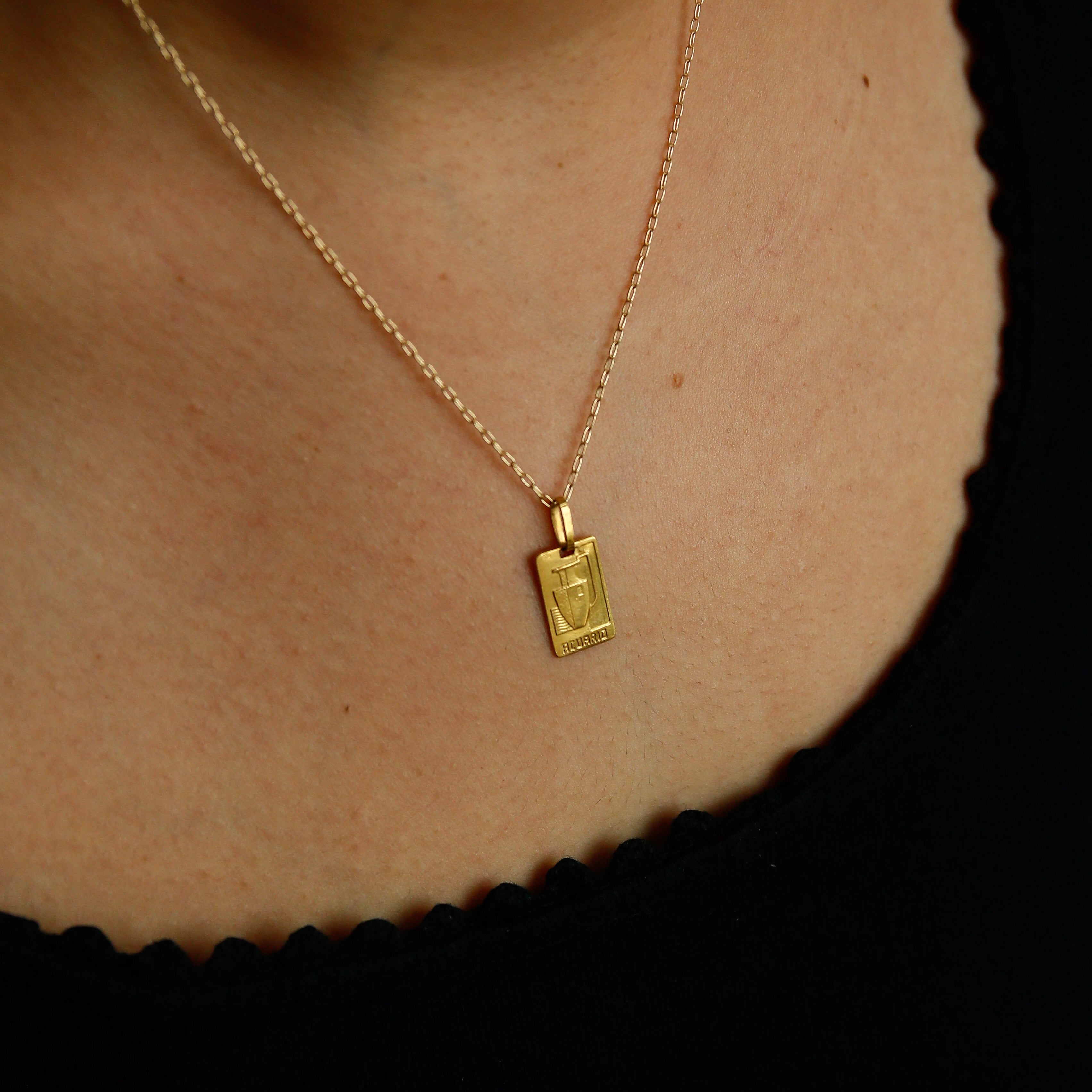 70's 19k Aquarius | Necklace Charm