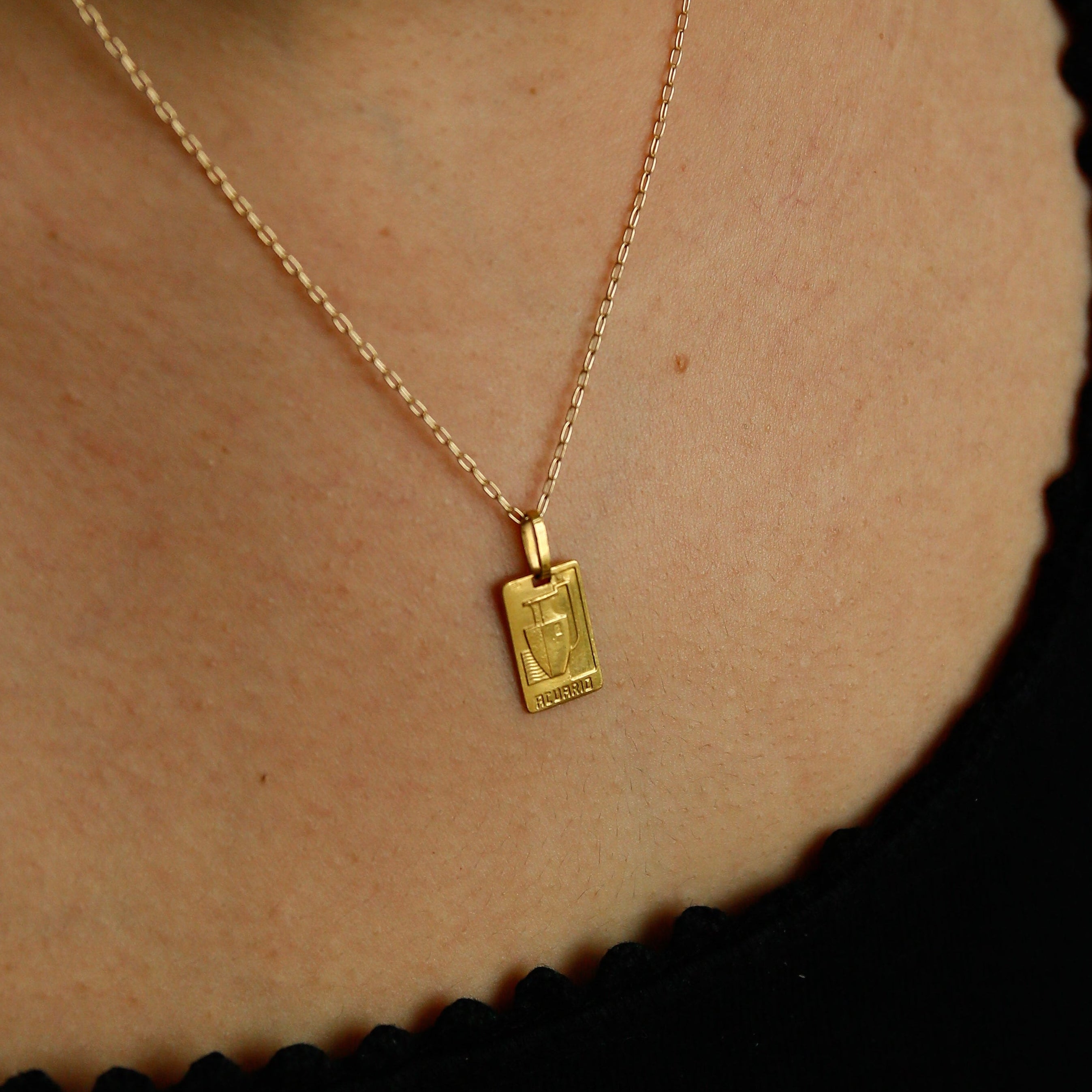 70's 19k Aquarius | Necklace Charm