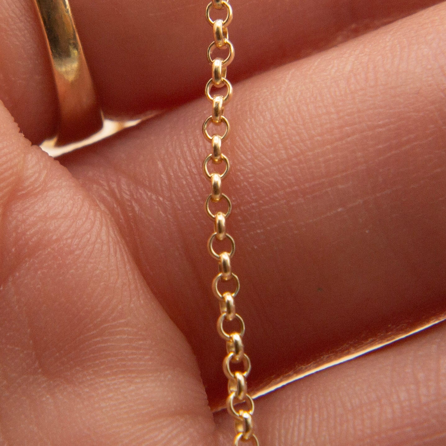 Single Gold Fill Chain